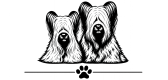 CHS Naše poupátko SKYE TERRIER